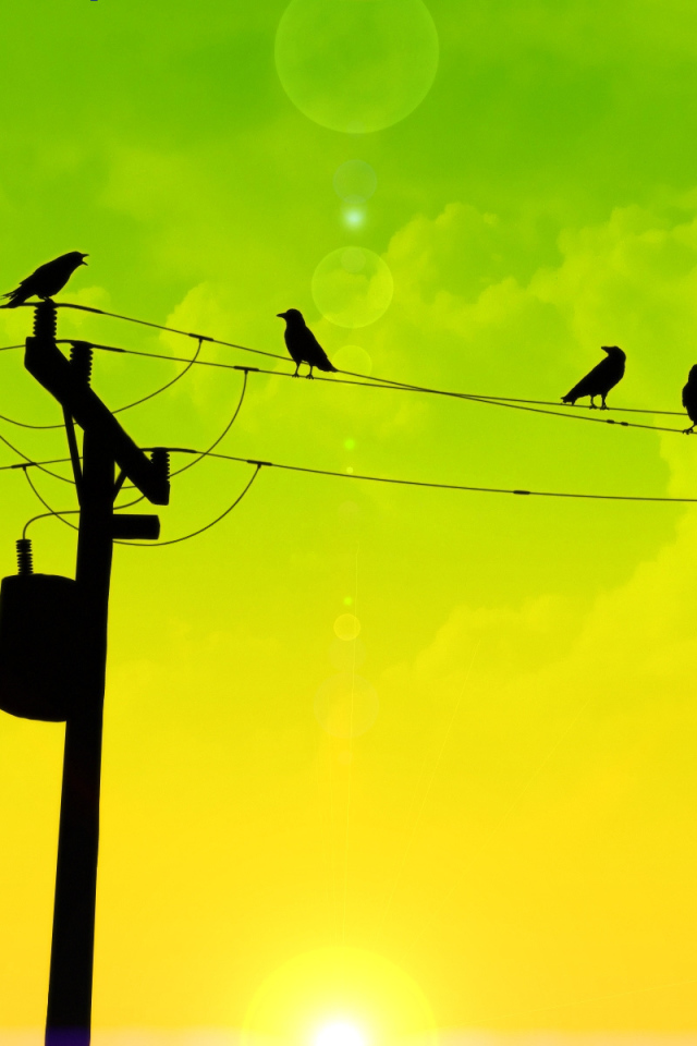Птицы на проводах