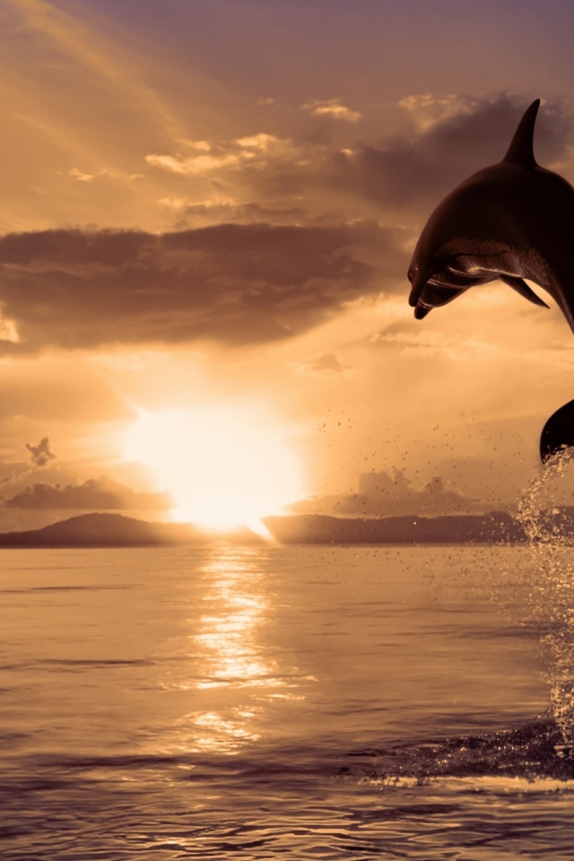 Прыжок дельфина