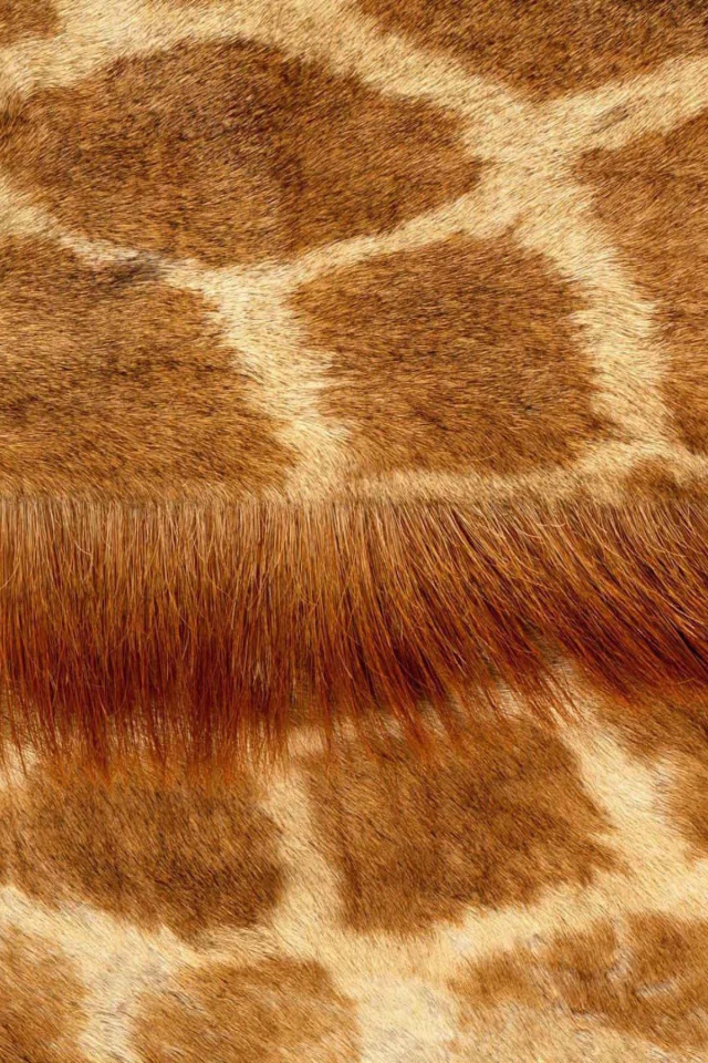 Кожа жирафа