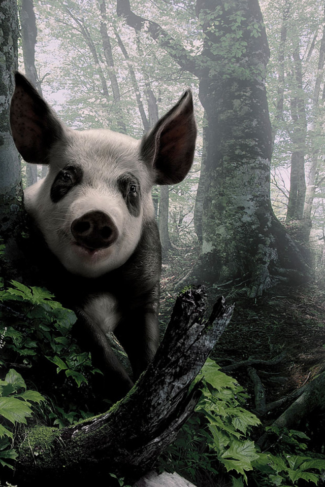 Свинья в лесу