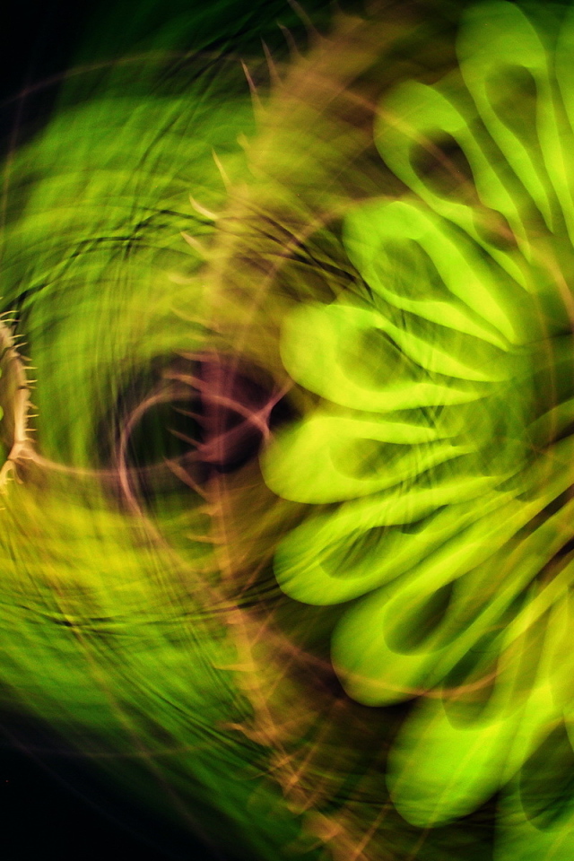 Зеленая абстракция