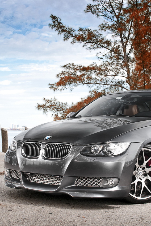 BMW 335