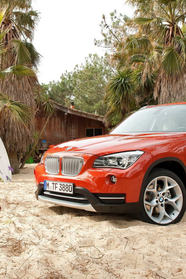 BMW-X1