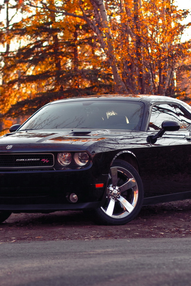 Dodge-Challenger