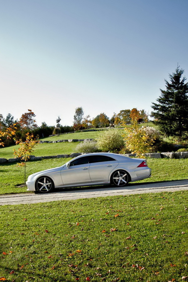 Mercedes Benz CLS на природе