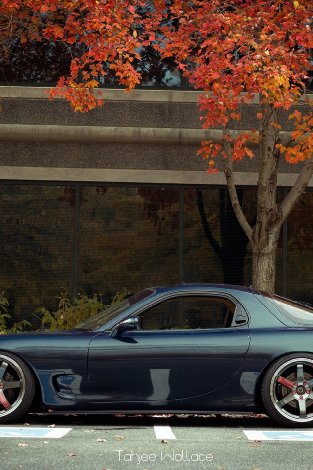 Синий Porsche 2012