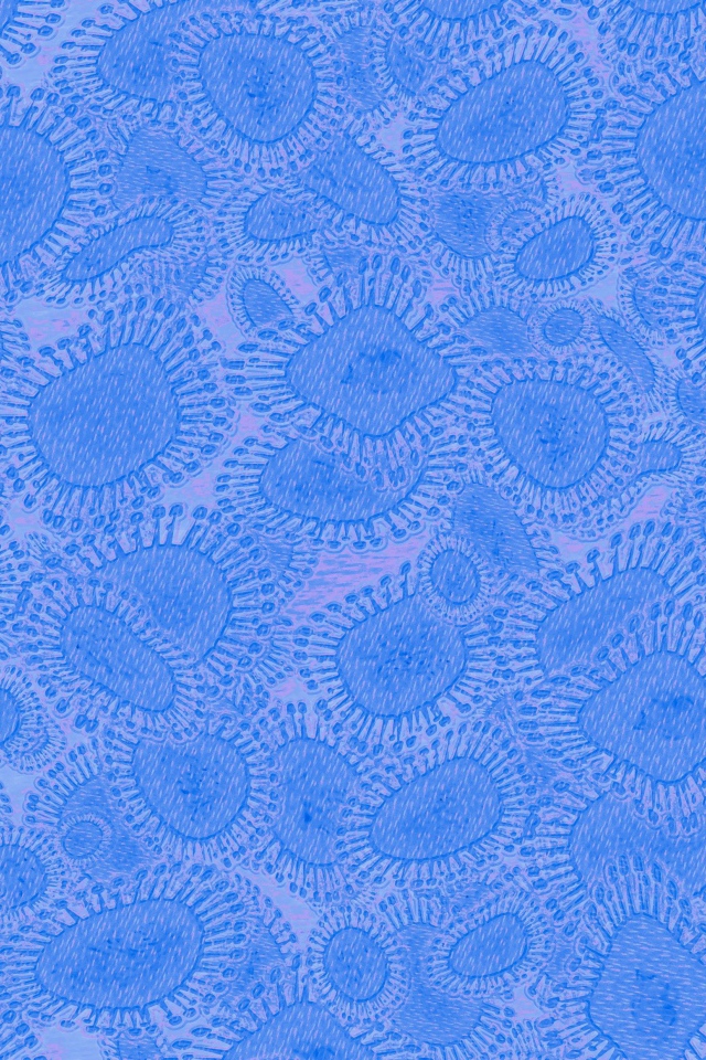 Вирусный фон