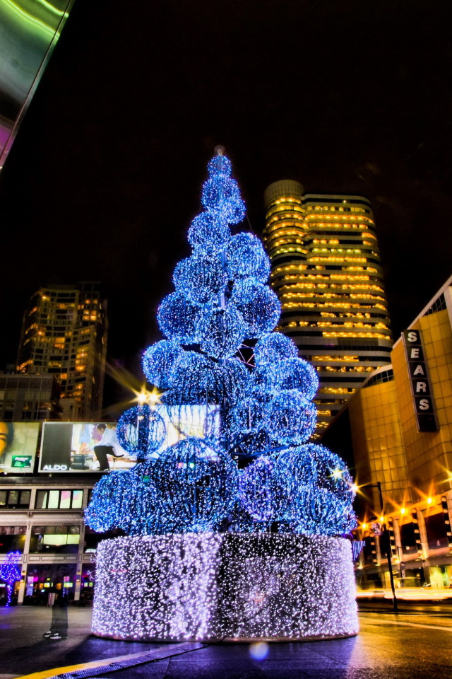 Городская елка на Рождество