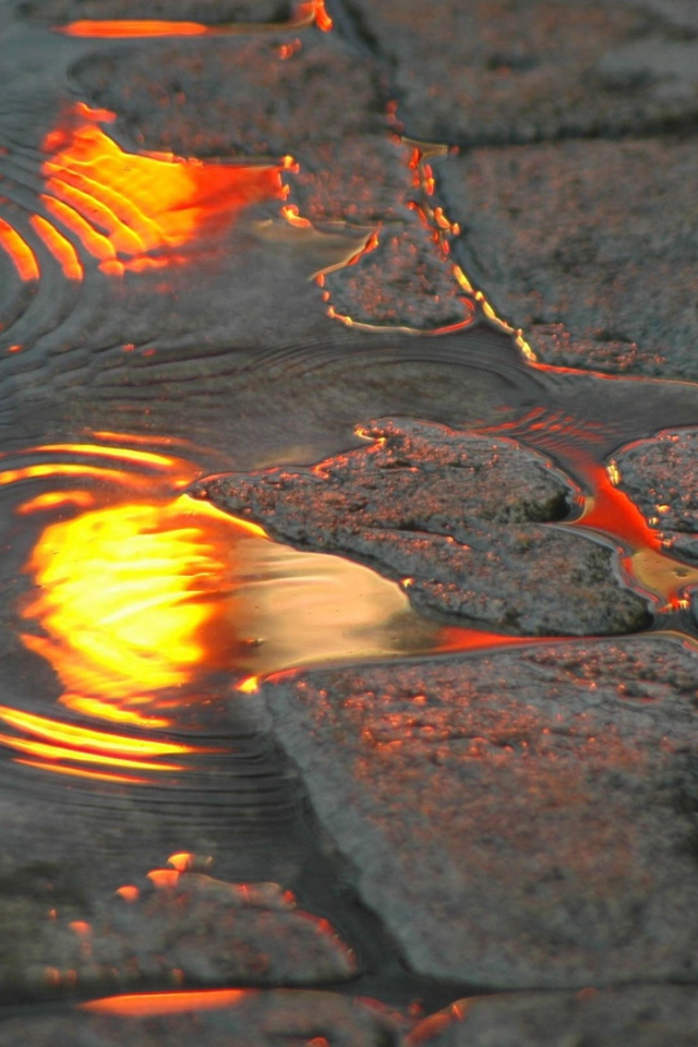 Тротуарная плитка