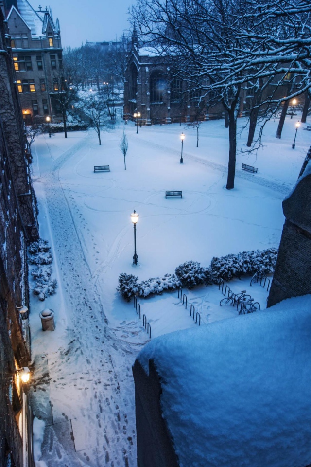 Заснеженная улица