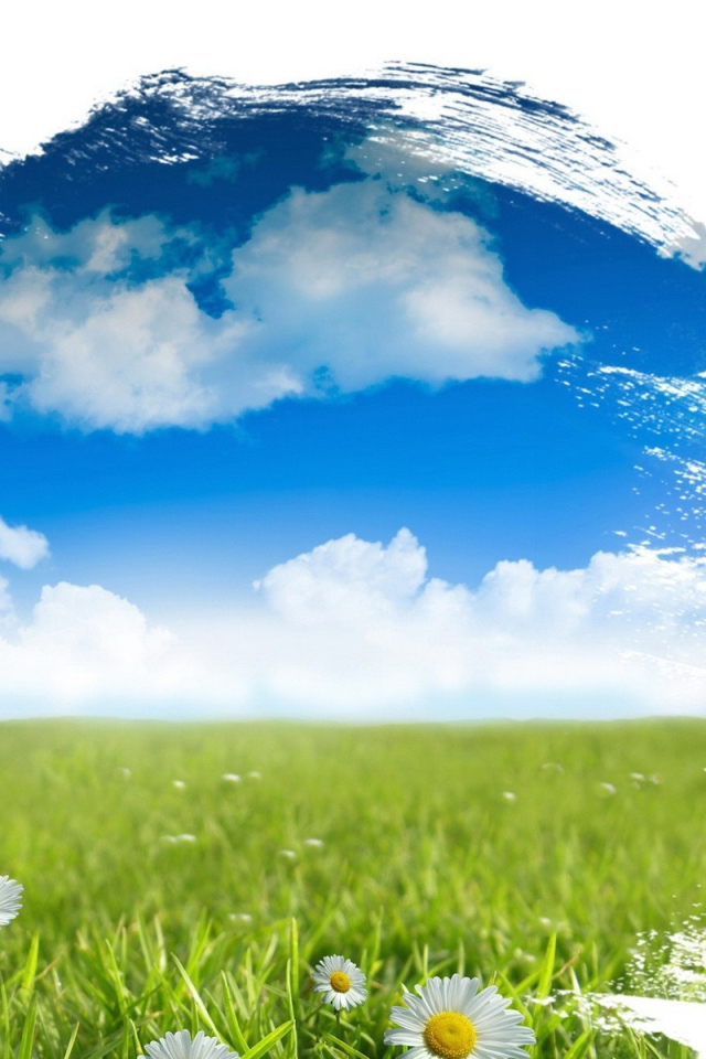 Красочный мир