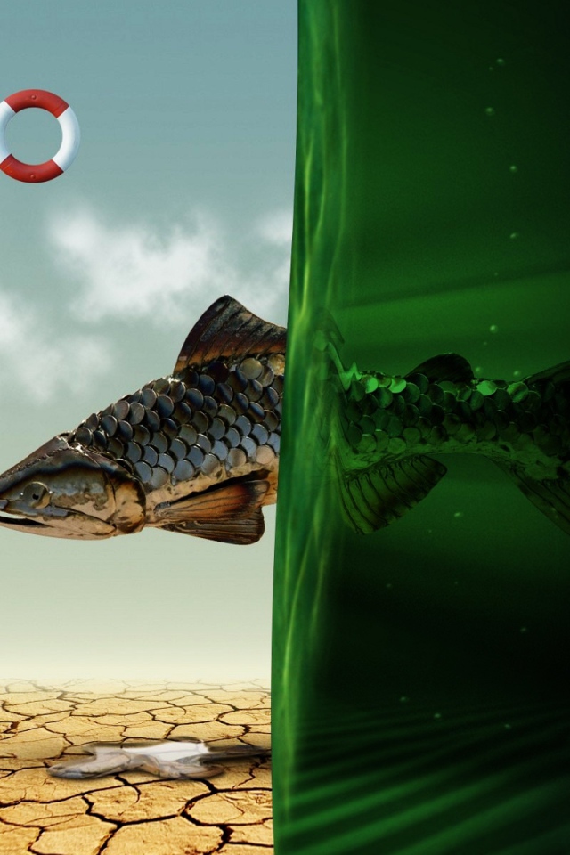 Рыбная мечта