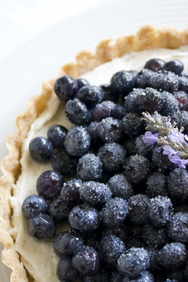 Ягода черника