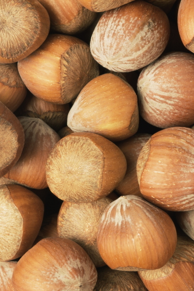 Лесные орехи