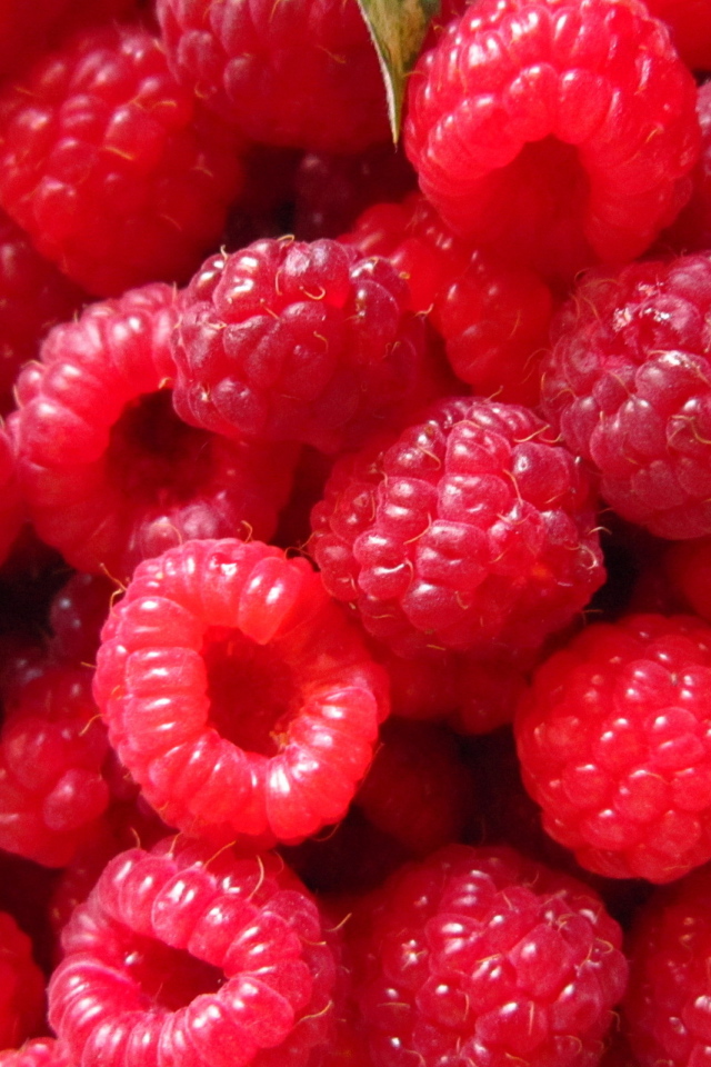 Спелая малина