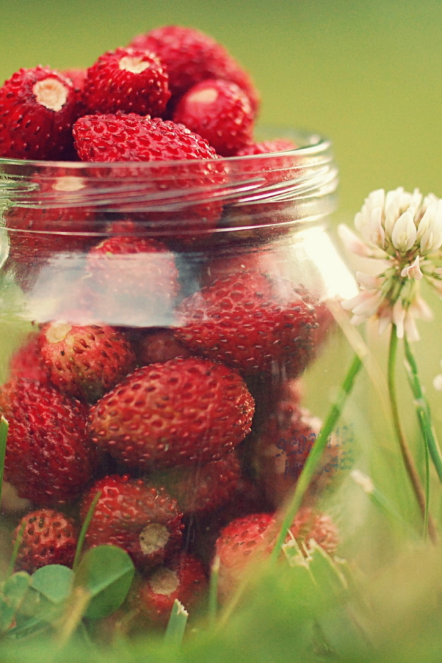 Земляника в банке