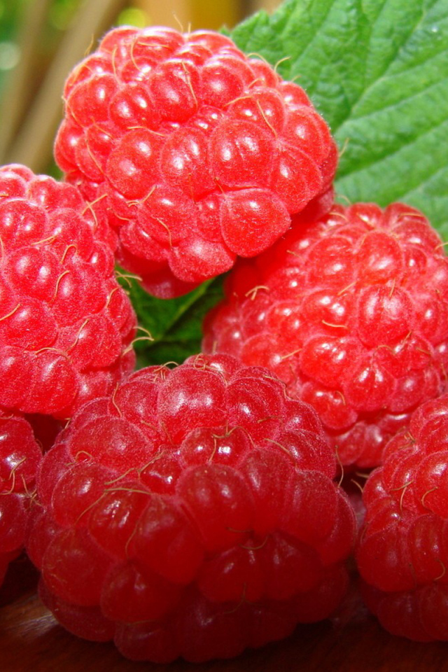 Сочная малина