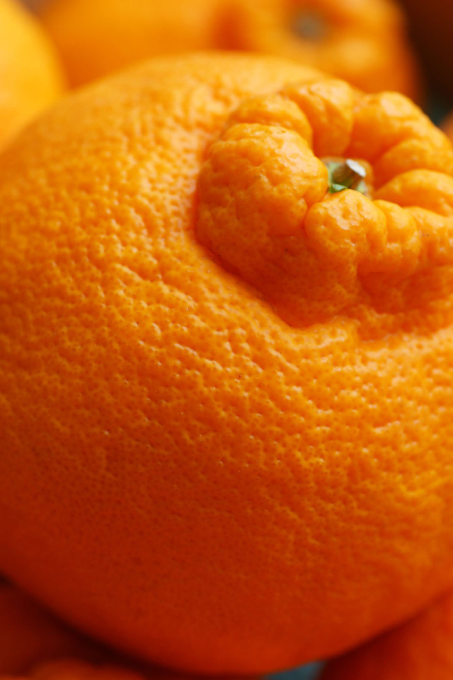 Россыпь мандаринов