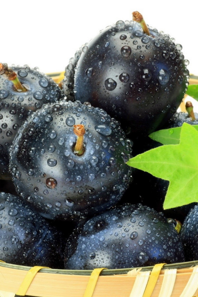 Спелая слива