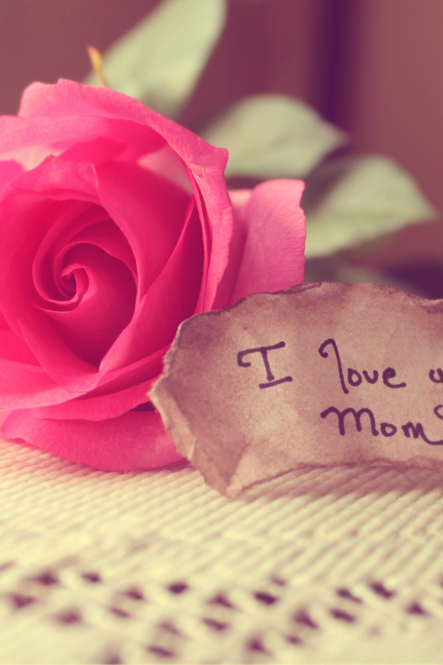 Записка и роза