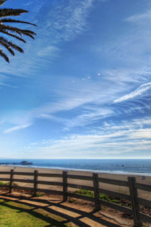 Пальма на берегу