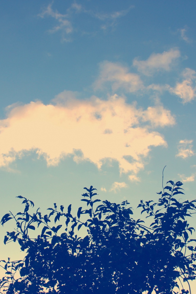 Облака и дерево