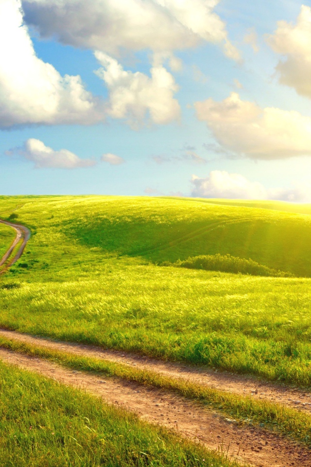 Солнечный день