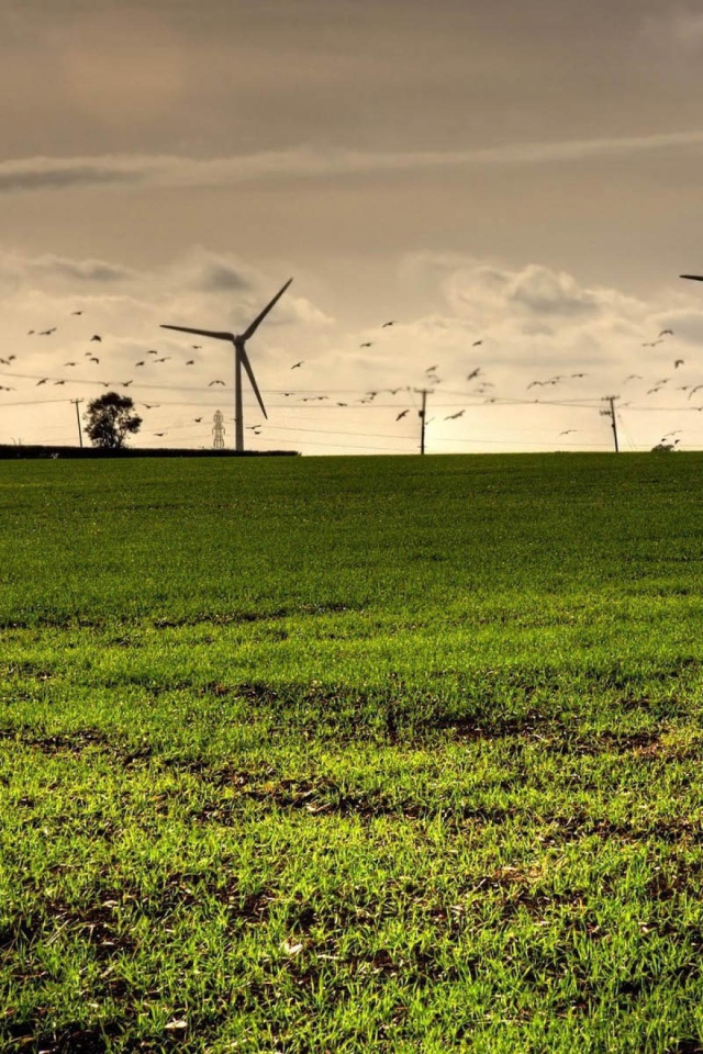 Турбины в полях