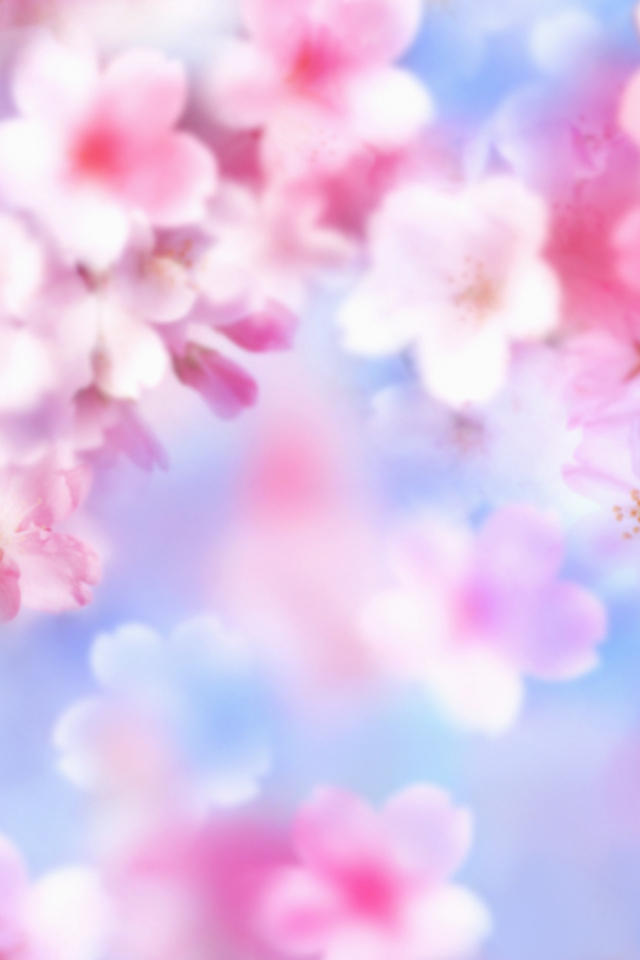 Розовые цветочки