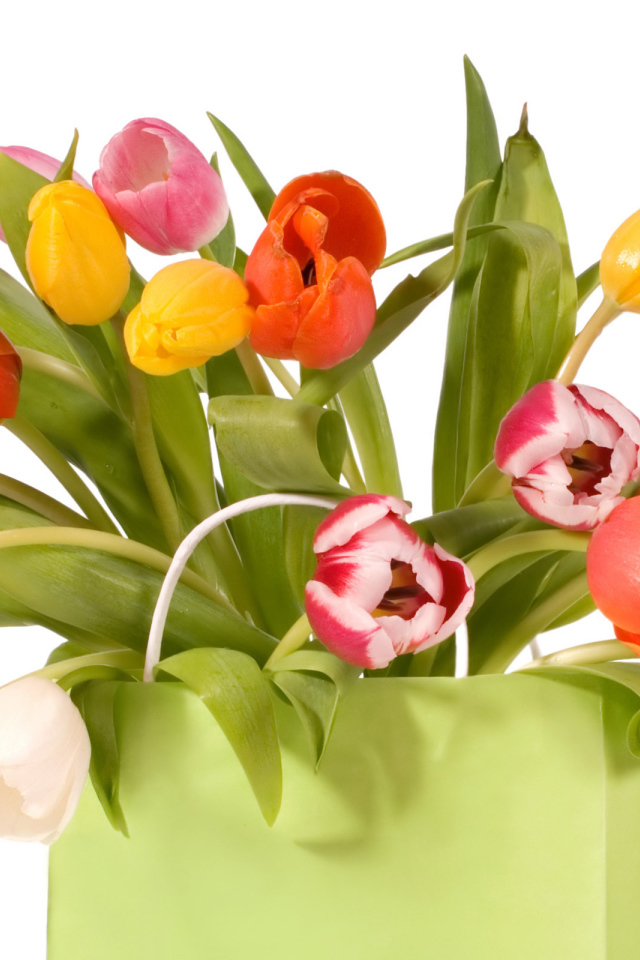 Тюльпаны в пакете