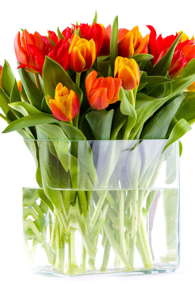 Ваза с тюльпанами