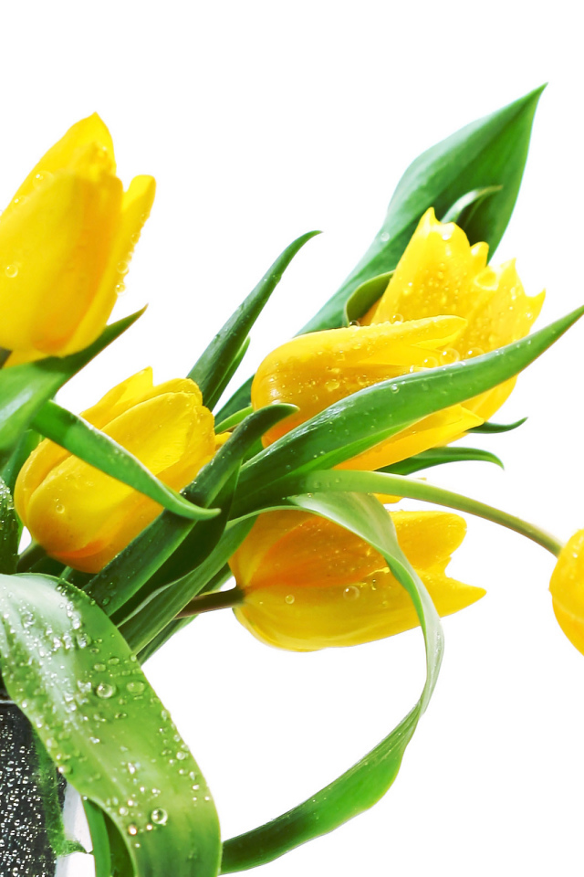 Желтые тюльпаны в вазе