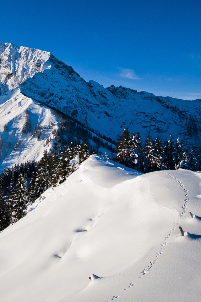 Утро в горах