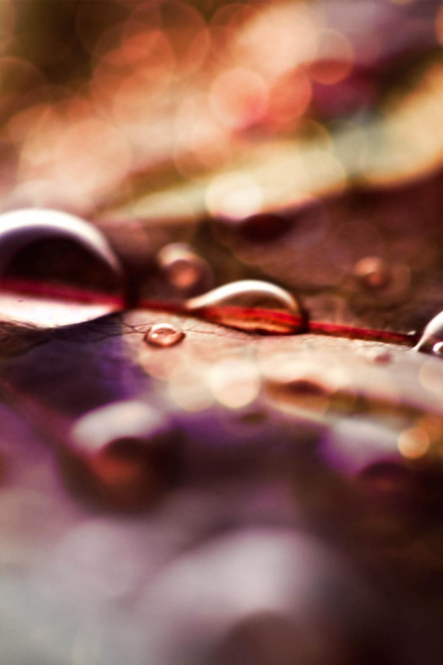 Капли на листке