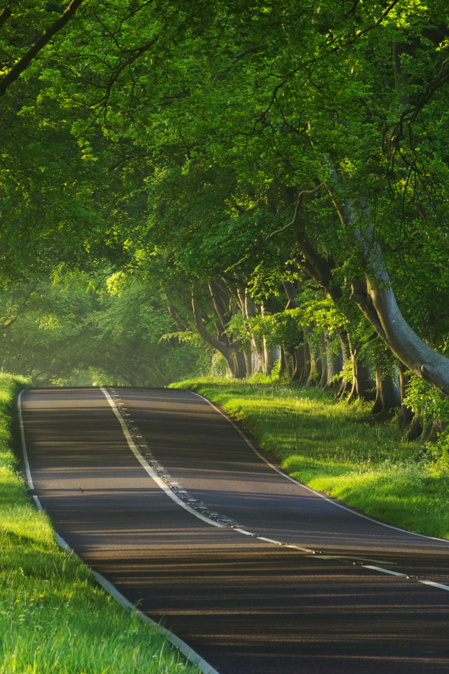 Дорога через тропики