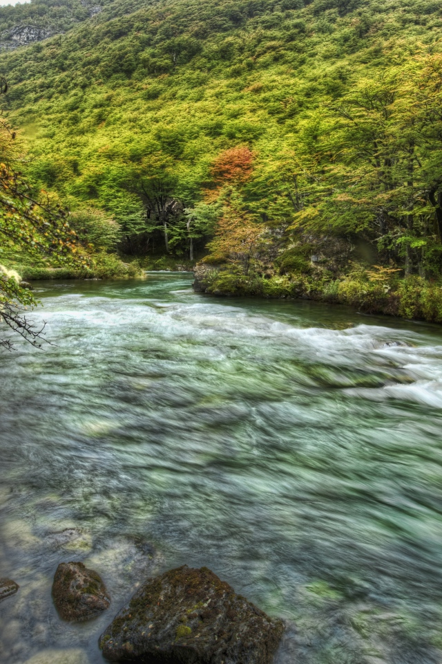 Быстрая горная речка