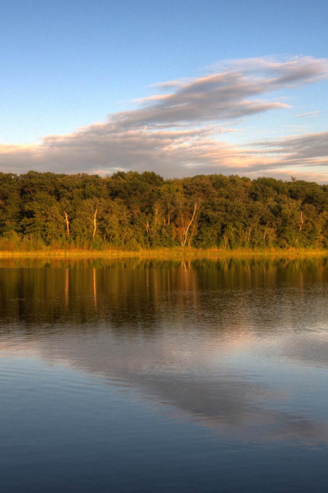 Озеро у леса