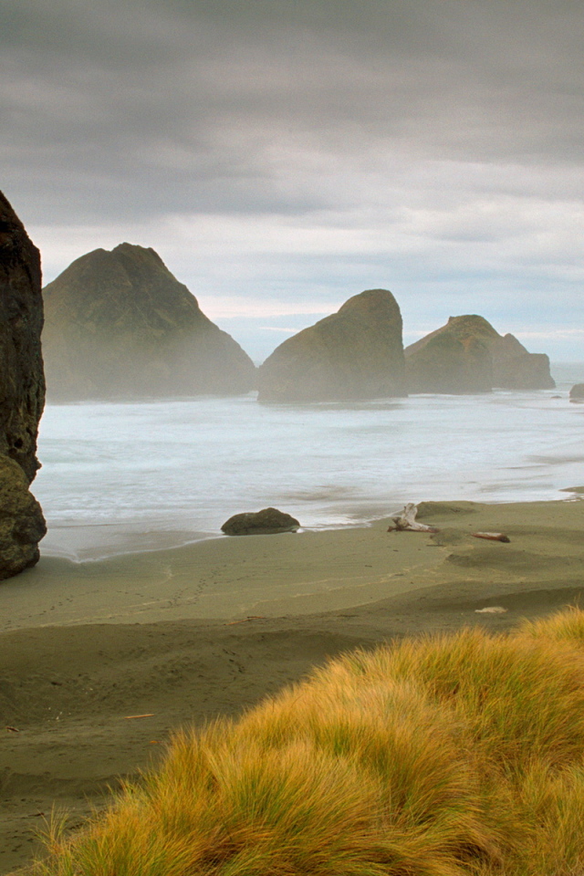 Морское побережье