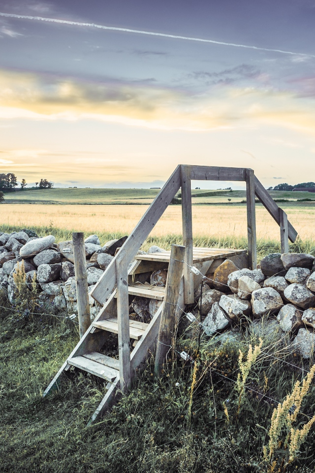 Лестница в поле