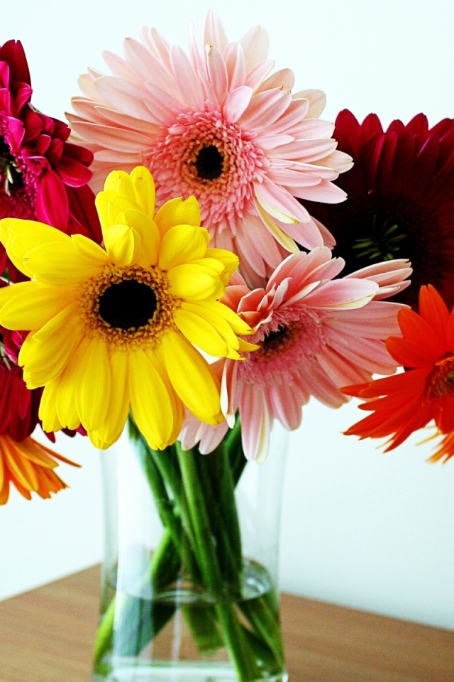 Герберы в вазе