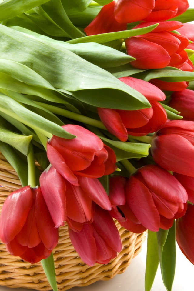 Тюльпаны в корзине