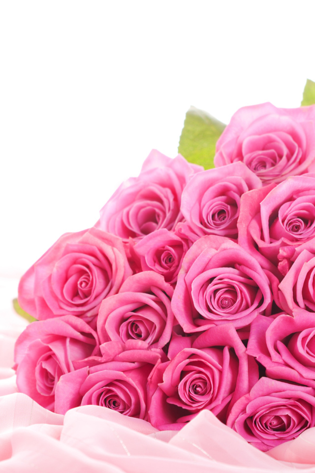 Розовые розы