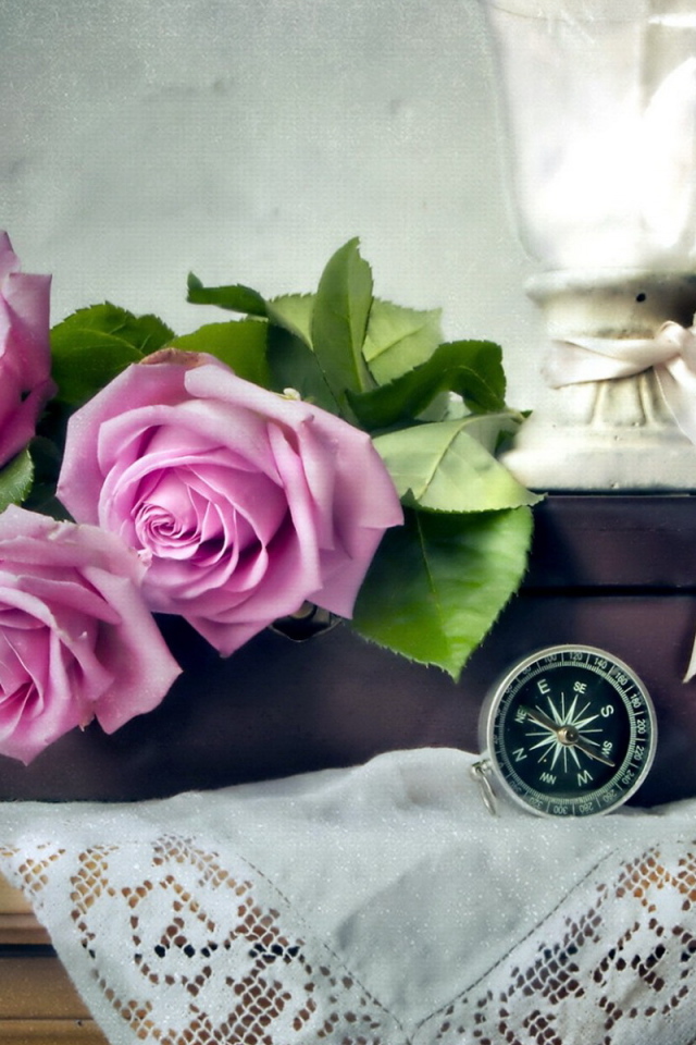 Лиловые розы