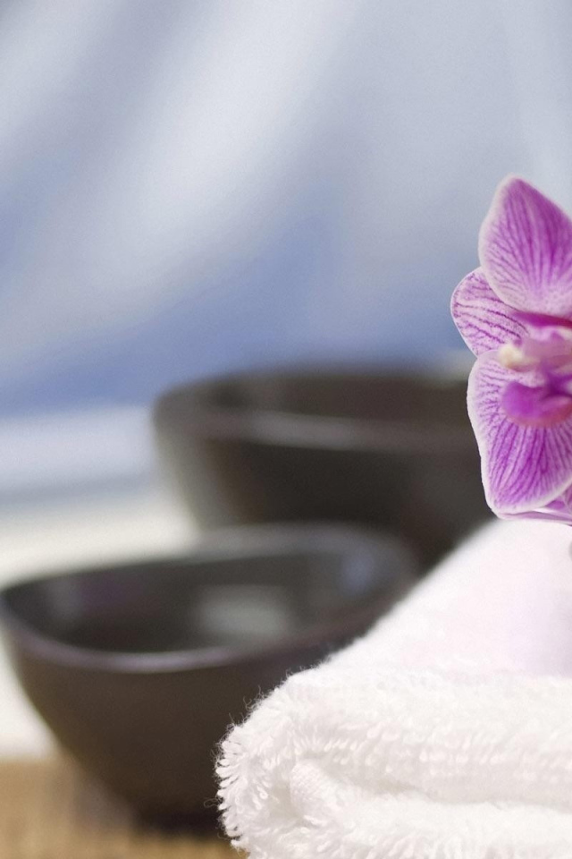 Веточка орхидеи