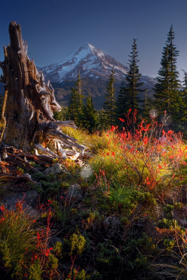 Гора на горизонте