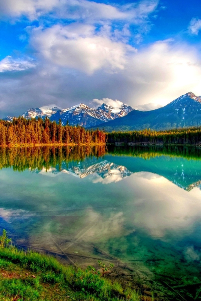 Красивый пейзаж