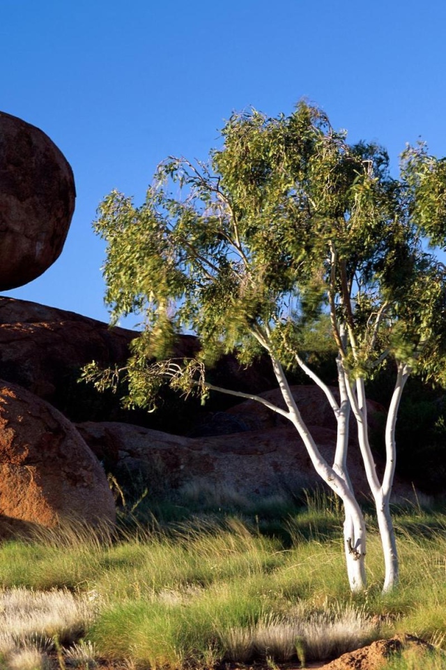 Круглые валуны