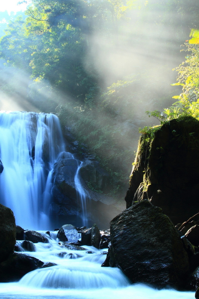 Речка в лесу