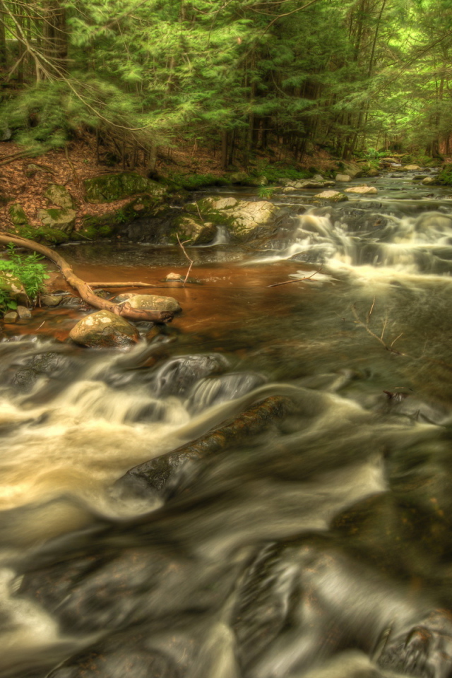 Речка в лесу