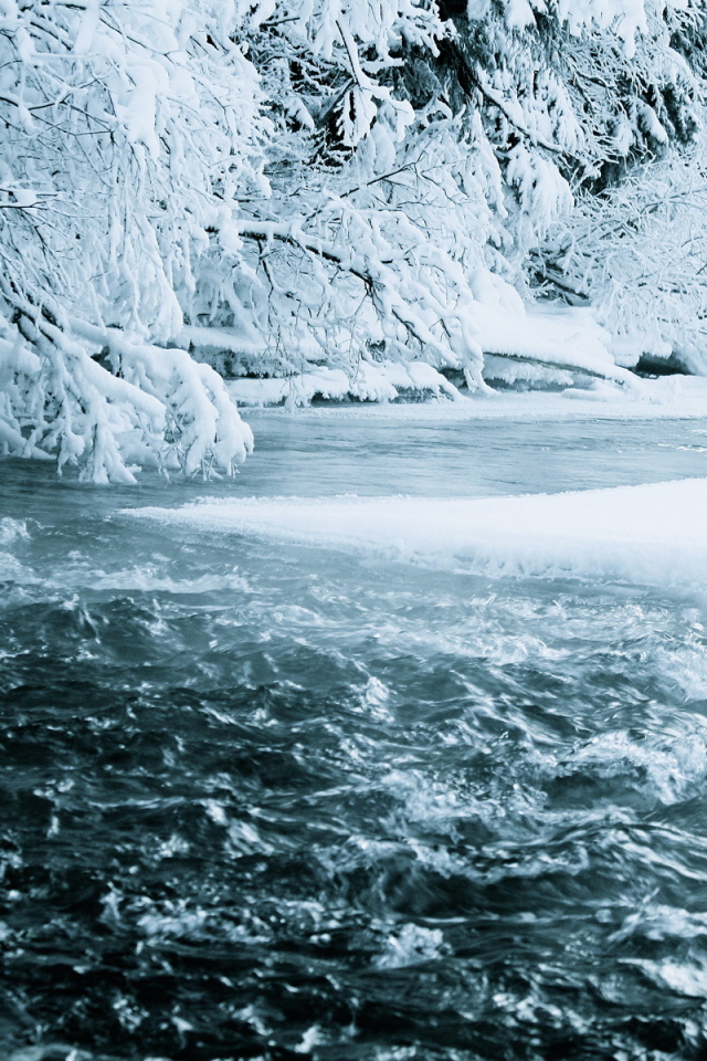 Зимняя река